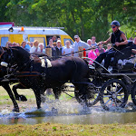 IMG_2882.jpg