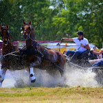 IMG_2898.jpg