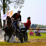 IMG_2977.jpg