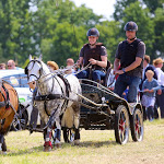 IMG_2982.jpg