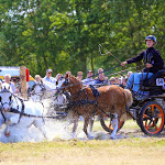 IMG_2996.jpg