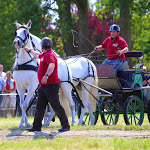 IMG_3020.jpg