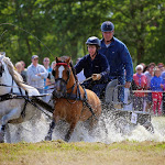 IMG_3045.jpg
