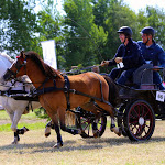IMG_3048.jpg