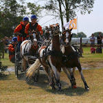IMG_3077.jpg