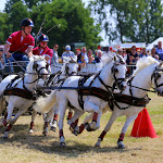 IMG_3096.jpg