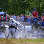 IMG_3103.jpg