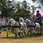 IMG_3115.jpg