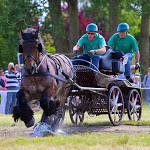 IMG_3157.jpg