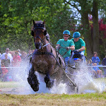 IMG_3159.jpg