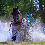 IMG_3160.jpg