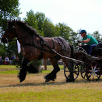 IMG_3178.jpg