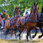 IMG_3182.jpg