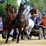 IMG_3187.jpg