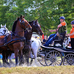 IMG_3267.jpg