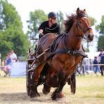 IMG_3279.jpg