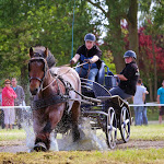 IMG_3281.jpg