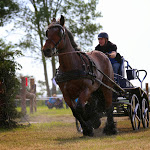 IMG_3289.jpg