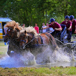 IMG_3297.jpg