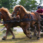 IMG_3307.jpg