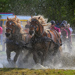 IMG_3313.jpg