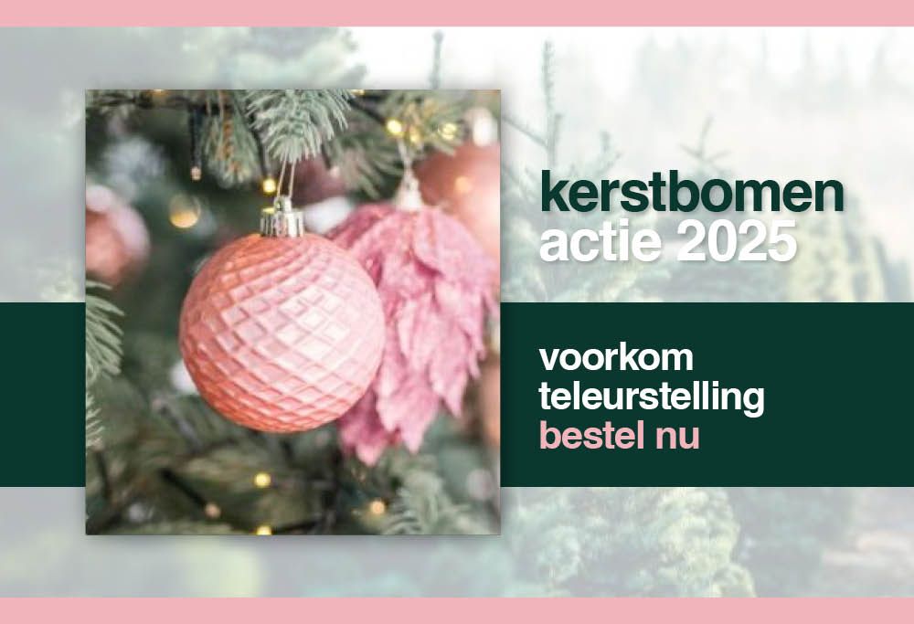 Kerstbomenactie Rotary Schouwen-Duiveland